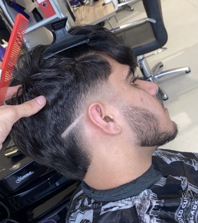 Mullet